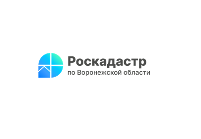 Роскадастр назвал выписку из ЕГРН, которую чаще всего воронежцы запрашивают через МФЦ.