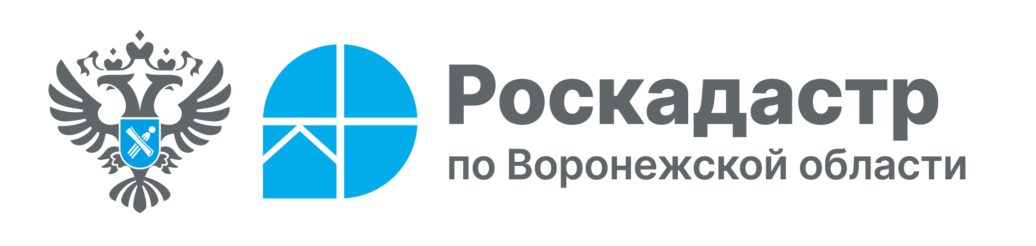 За полгода в ЕГРН внесено почти 4 тысячи различных зон на территории Воронежской области.