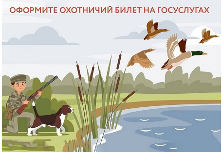 Сезон охоты не за горами. Охотничий билет - теперь в электронном виде!. Сезон охоты не за горами. Охотничий билет - теперь в электронном виде!.